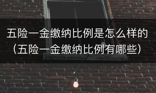 五险一金缴纳比例是怎么样的（五险一金缴纳比例有哪些）