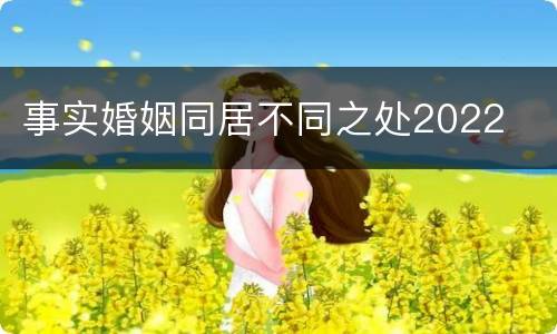 事实婚姻同居不同之处2022