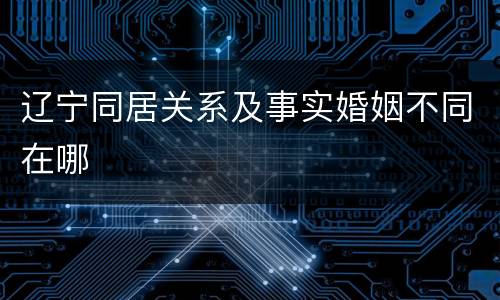 辽宁同居关系及事实婚姻不同在哪