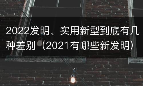 2022发明、实用新型到底有几种差别（2021有哪些新发明）