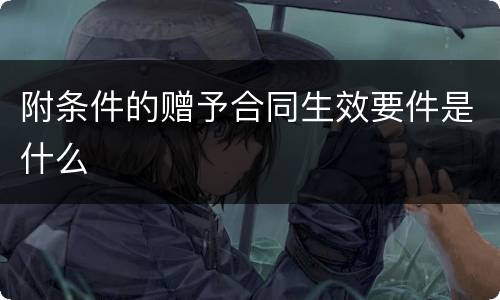 附条件的赠予合同生效要件是什么
