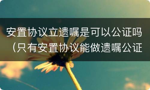 安置协议立遗嘱是可以公证吗（只有安置协议能做遗嘱公证吗）