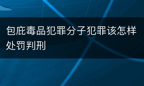 包庇毒品犯罪分子犯罪该怎样处罚判刑