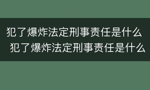 犯了爆炸法定刑事责任是什么 犯了爆炸法定刑事责任是什么意思