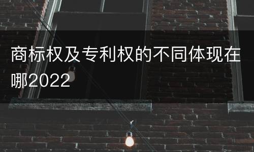 商标权及专利权的不同体现在哪2022