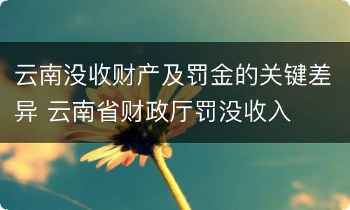 云南没收财产及罚金的关键差异 云南省财政厅罚没收入