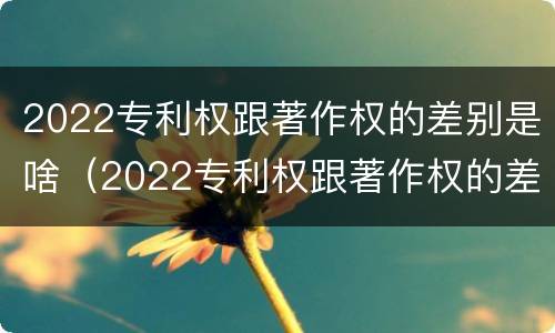 2022专利权跟著作权的差别是啥（2022专利权跟著作权的差别是啥呢）