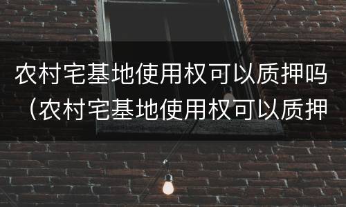 农村宅基地使用权可以质押吗（农村宅基地使用权可以质押吗）
