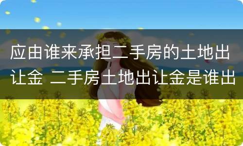 应由谁来承担二手房的土地出让金 二手房土地出让金是谁出