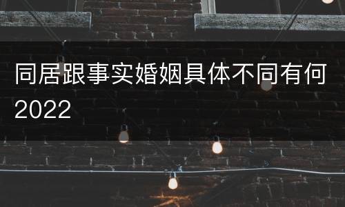 同居跟事实婚姻具体不同有何2022