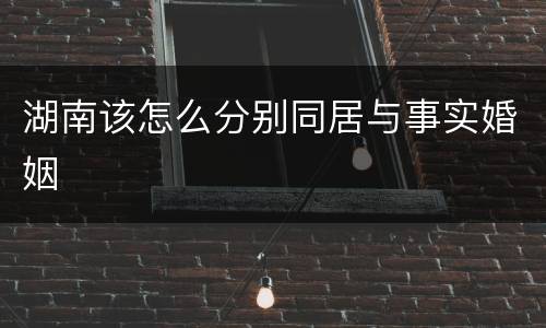 湖南该怎么分别同居与事实婚姻