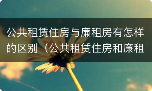 公共租赁住房与廉租房有怎样的区别（公共租赁住房和廉租住房并轨运行）