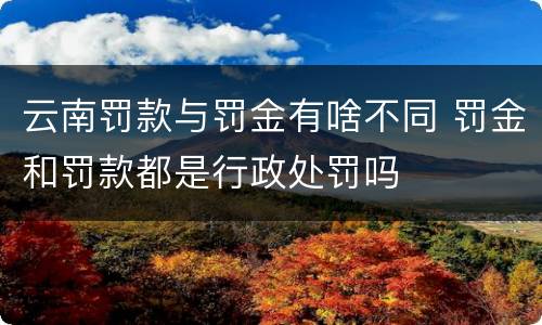 云南罚款与罚金有啥不同 罚金和罚款都是行政处罚吗