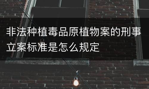 非法种植毒品原植物案的刑事立案标准是怎么规定