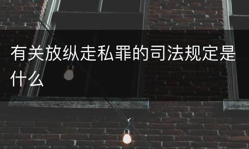 有关放纵走私罪的司法规定是什么