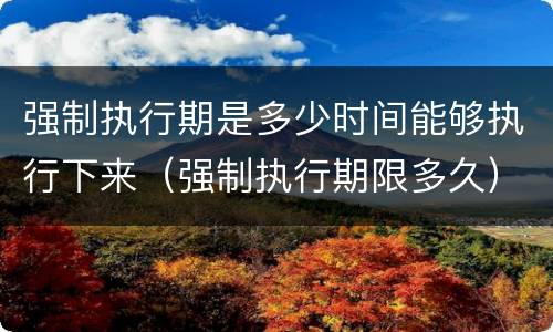 强制执行期是多少时间能够执行下来（强制执行期限多久）
