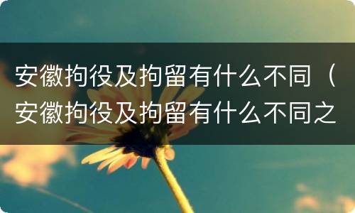 安徽拘役及拘留有什么不同（安徽拘役及拘留有什么不同之处）