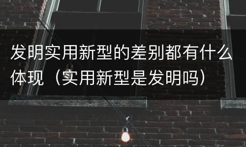 发明实用新型的差别都有什么体现（实用新型是发明吗）