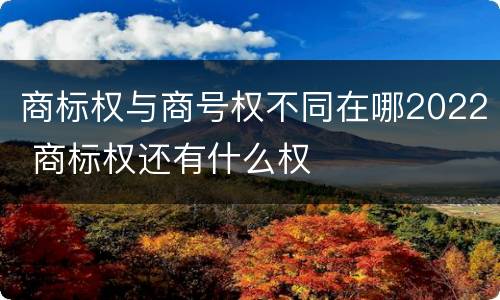 商标权与商号权不同在哪2022 商标权还有什么权