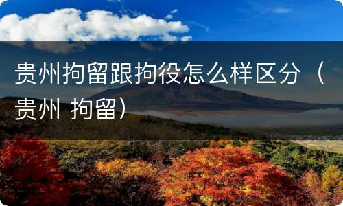 贵州拘留跟拘役怎么样区分（贵州 拘留）