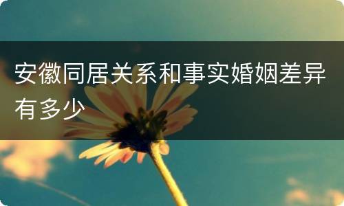 安徽同居关系和事实婚姻差异有多少