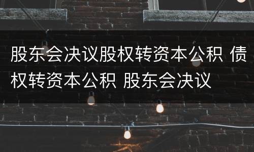 股东会决议股权转资本公积 债权转资本公积 股东会决议