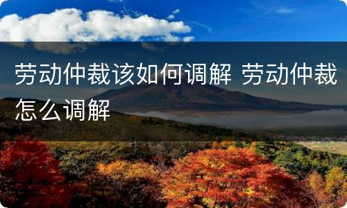 劳动仲裁该如何调解 劳动仲裁怎么调解