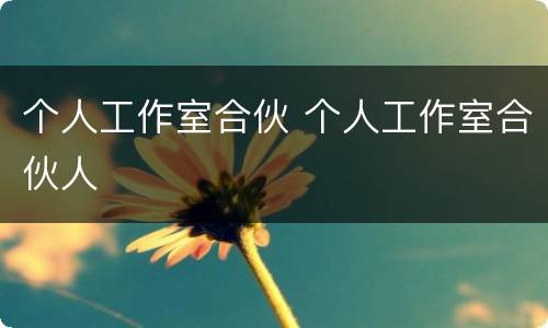 个人工作室合伙 个人工作室合伙人