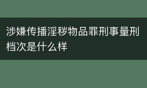涉嫌传播淫秽物品罪刑事量刑档次是什么样