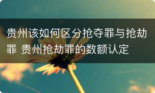 贵州该如何区分抢夺罪与抢劫罪 贵州抢劫罪的数额认定