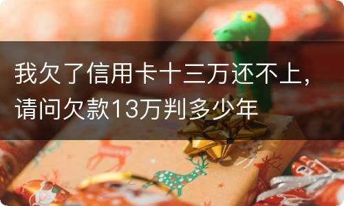 我欠了信用卡十三万还不上，请问欠款13万判多少年