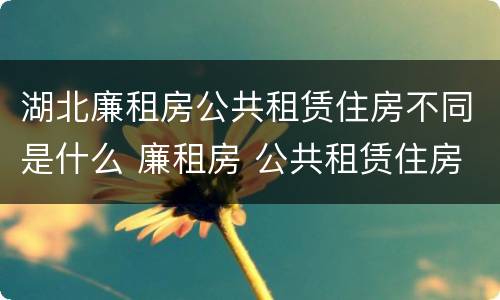 湖北廉租房公共租赁住房不同是什么 廉租房 公共租赁住房