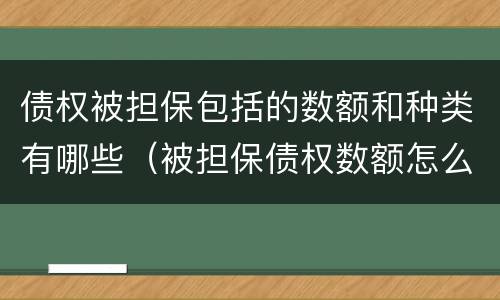 债权被担保包括的数额和种类有哪些（被担保债权数额怎么填）