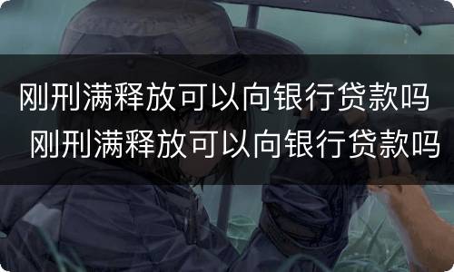 刚刑满释放可以向银行贷款吗 刚刑满释放可以向银行贷款吗知乎