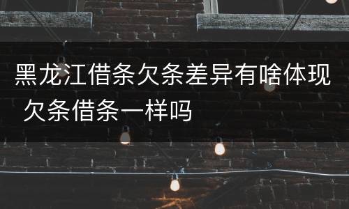 黑龙江借条欠条差异有啥体现 欠条借条一样吗