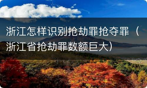 浙江怎样识别抢劫罪抢夺罪（浙江省抢劫罪数额巨大）
