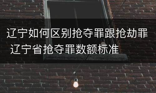 辽宁如何区别抢夺罪跟抢劫罪 辽宁省抢夺罪数额标准