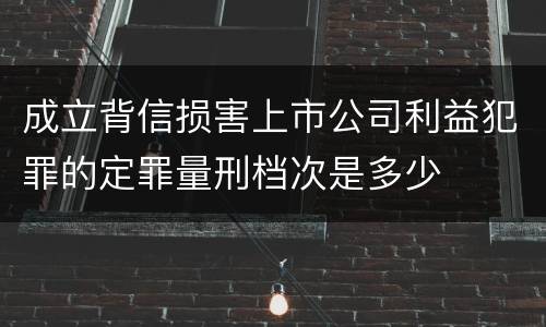 成立背信损害上市公司利益犯罪的定罪量刑档次是多少