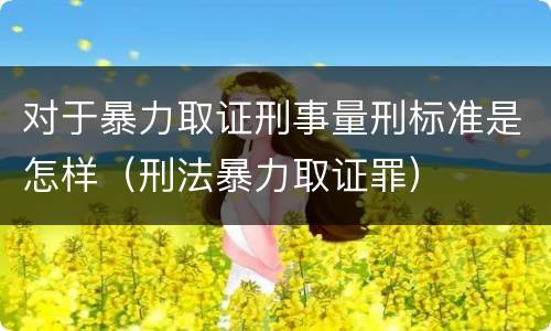 对于暴力取证刑事量刑标准是怎样（刑法暴力取证罪）