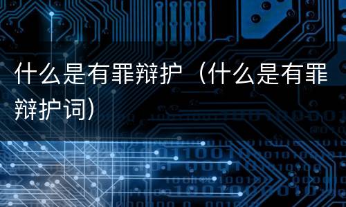 什么是有罪辩护（什么是有罪辩护词）