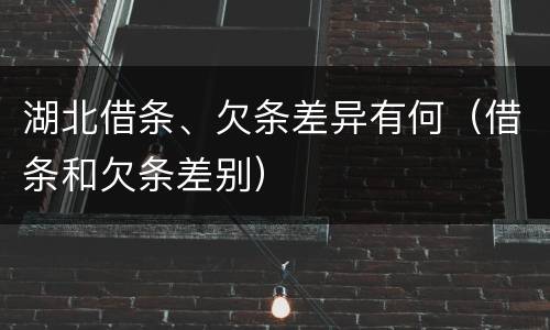 湖北借条、欠条差异有何（借条和欠条差别）