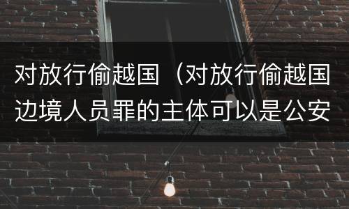 对放行偷越国（对放行偷越国边境人员罪的主体可以是公安民警吗）