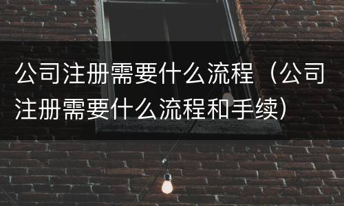 公司注册需要什么流程（公司注册需要什么流程和手续）