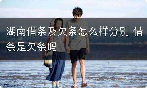 湖南借条及欠条怎么样分别 借条是欠条吗