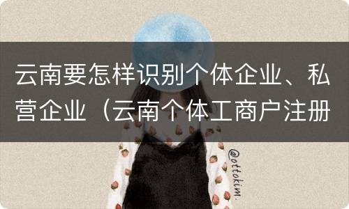 云南要怎样识别个体企业、私营企业（云南个体工商户注册app）