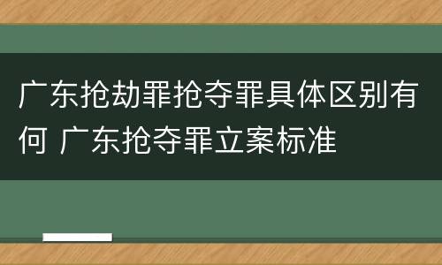 广东抢劫罪抢夺罪具体区别有何 广东抢夺罪立案标准