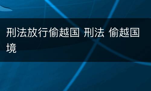 刑法放行偷越国 刑法 偷越国境