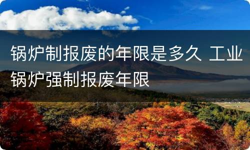 锅炉制报废的年限是多久 工业锅炉强制报废年限