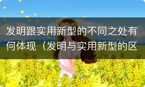 发明跟实用新型的不同之处有何体现（发明与实用新型的区别有）