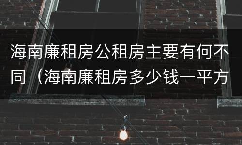 海南廉租房公租房主要有何不同（海南廉租房多少钱一平方）
